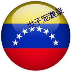 世(世)子(子)宠妻录(錄)