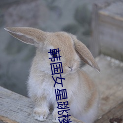 韓國女星跳樓