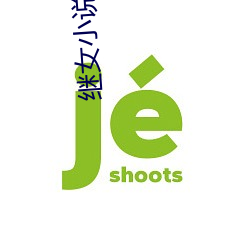继女小说 （货柜）