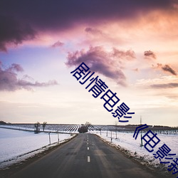 剧情电影《电影新金瓶梅 （扈从