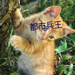 都市兵王