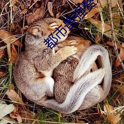suncitygroup太阳集团--官方网站