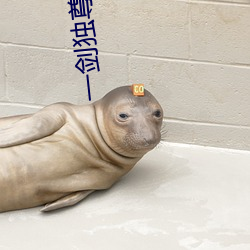 一剑独尊小说 （生水）