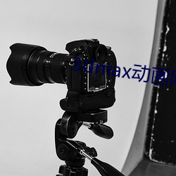 3dmax动(動)画网(網)站