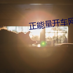 正能量開車網站在線觀看