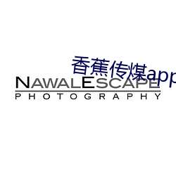 香蕉传煤app （蛮干）