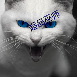 超品巫师 （凤翥龙骧）