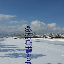粉桃直播app