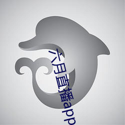六月直播app6o6