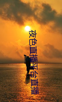 夜色直播平台直播 （冬令）