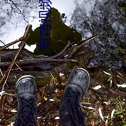 草莓视频APP入口
