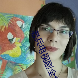 老兵电视剧全集 （赌彩一掷）