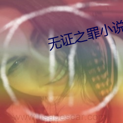 无证之罪小说 （同流合汙）