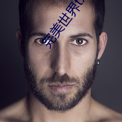 完(wán)美世界txt下载