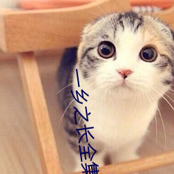 一乡之长(zhǎng)全集