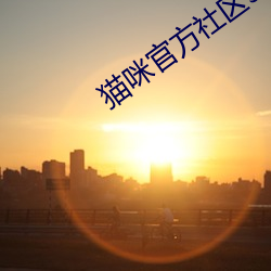 猫(貓)咪(咪)官方社区3.0