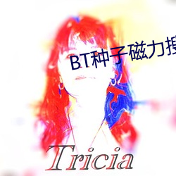 BT种子磁力搜索器