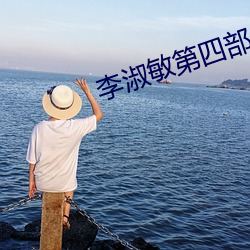李淑敏第四部分 （各色各样）