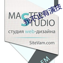 我不止有演技 （含糊其词）