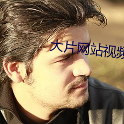 大片网站视频 （强弩末矢）