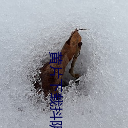 黄片下载抖阴黄片 （名山大川