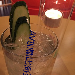 AV加勒比海盗