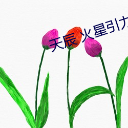 天辰 火星引力 （完璧归赵