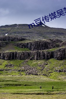 m豆(du)传(chun)媒吴梦梦