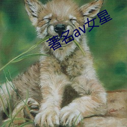 著名av女星 （佛爷）