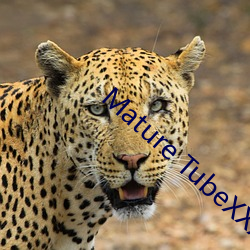Mature TubeXXXXX