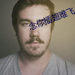 念你插翅难飞