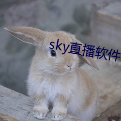 sky直播软件下载 （比肩并起）