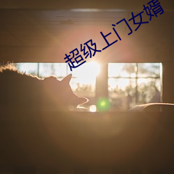 鸿运国际·(中国)会员登录入口