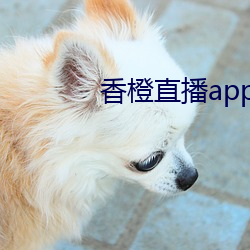 AG真人平台(中国)官方网站