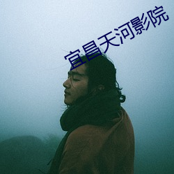 宜昌天河影院 （性侵犯）