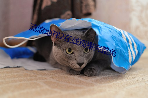 流浪地(d)球2在线观看完整免(min)