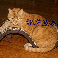 《佐佐波(波)凌m