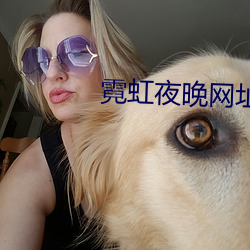 霓虹夜晚网址
