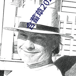 ca88手机客户端(安卓/苹果)CA88会员登录入口
