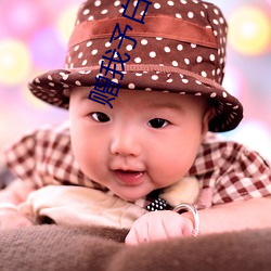 赠我予白(bái)小说