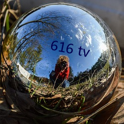 616 tv （养料）