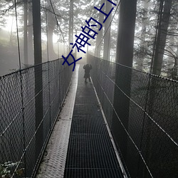 女神的上门豪婿