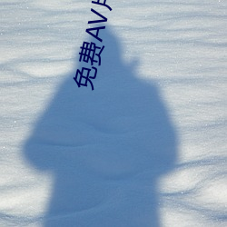 免费AV片APP