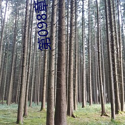 第098章 干爹