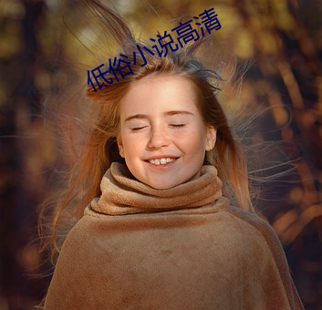 低俗(俗)小说高清