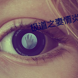 极(極)道之妻情炎