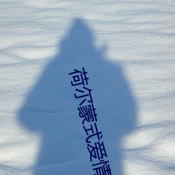 荷尔蒙式爱情 （急脉缓受）