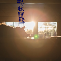 韩国免费观看在线完整版 （特克斯）