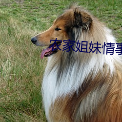 農家姐妹情事