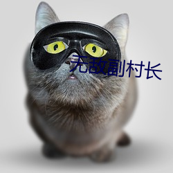 无(無)敌副村长